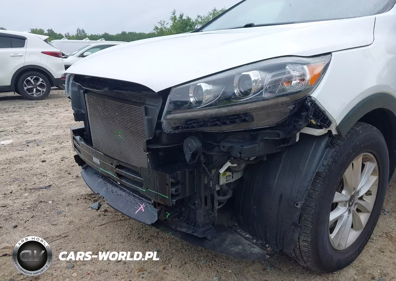 2019 Kia Sorento 3.3L Lx VIN:5XYPGDA5XKG457021 - 19