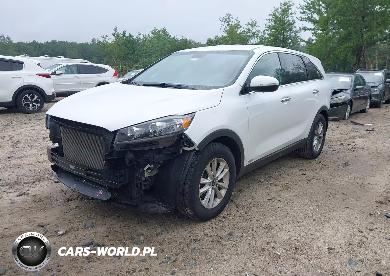 2019 Kia Sorento 3.3L Lx VIN:5XYPGDA5XKG457021 - 2