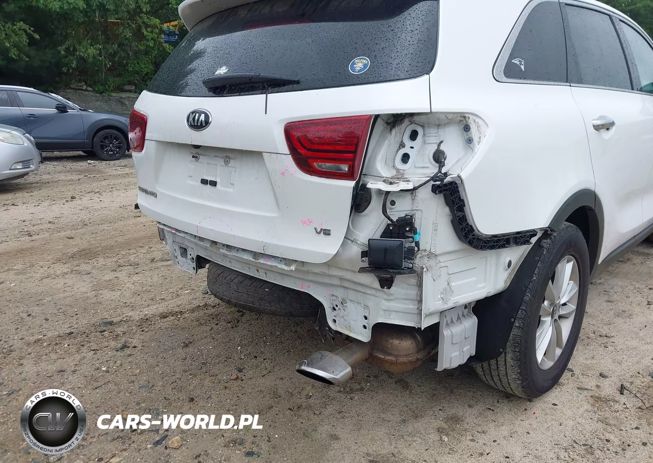 2019 Kia Sorento 3.3L Lx VIN:5XYPGDA5XKG457021 - 21