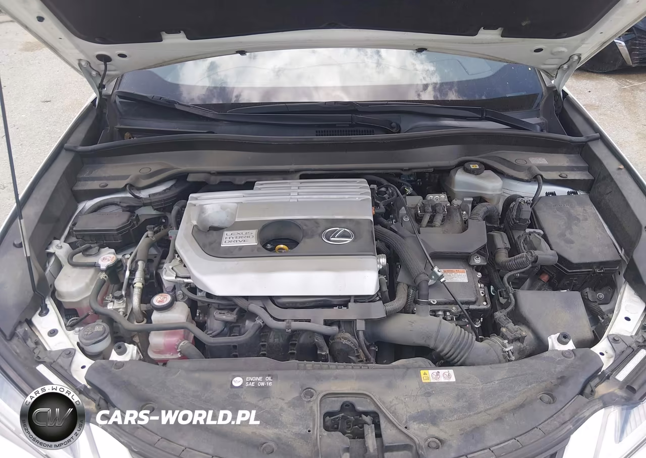 2020 Lexus Ux 250H VIN:JTHP9JBH5L2032611 - 10