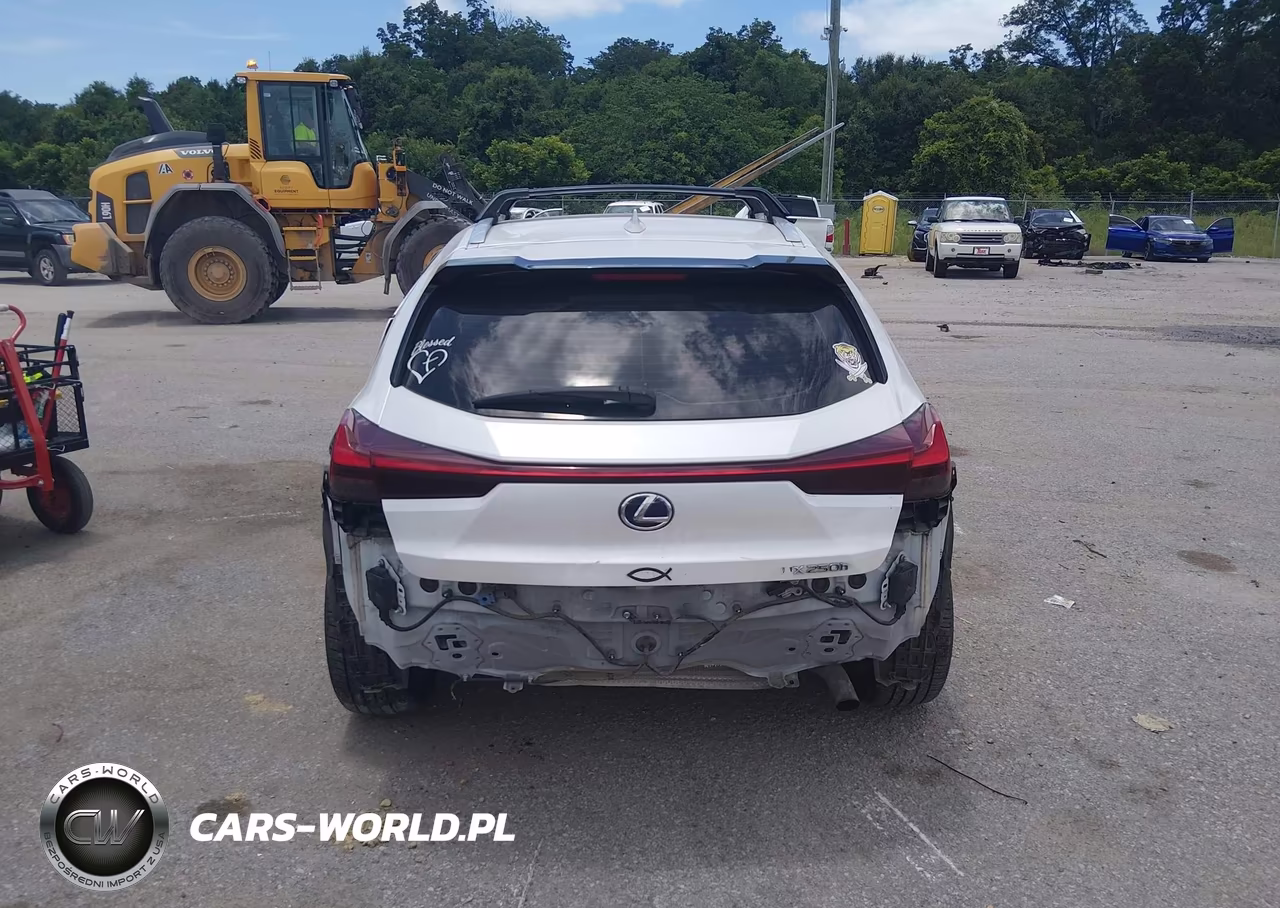 2020 Lexus Ux 250H VIN:JTHP9JBH5L2032611 - 17