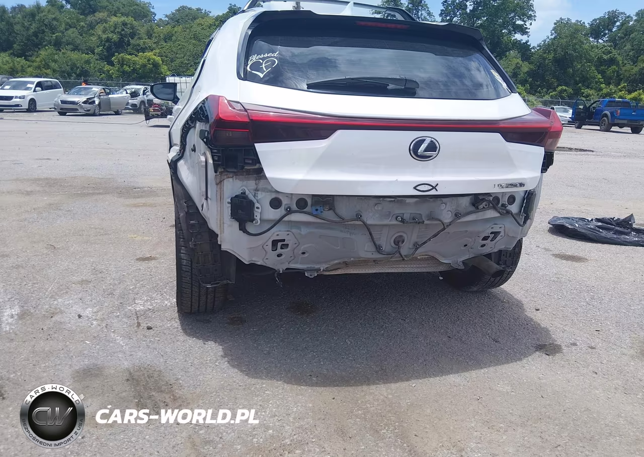 2020 Lexus Ux 250H VIN:JTHP9JBH5L2032611 - 6