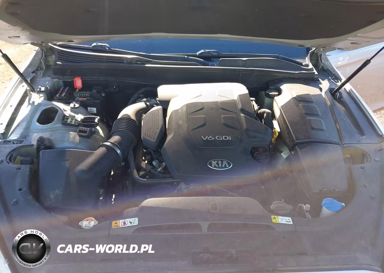 2016 Kia K900 Luxury 3.8L VIN:KNALU4D37G6032591 - 10
