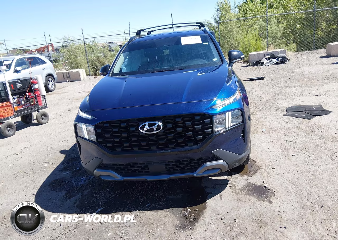 2023 Hyundai Santa Fe Xrt VIN:5NMS6DAJ9PH574631 - 12
