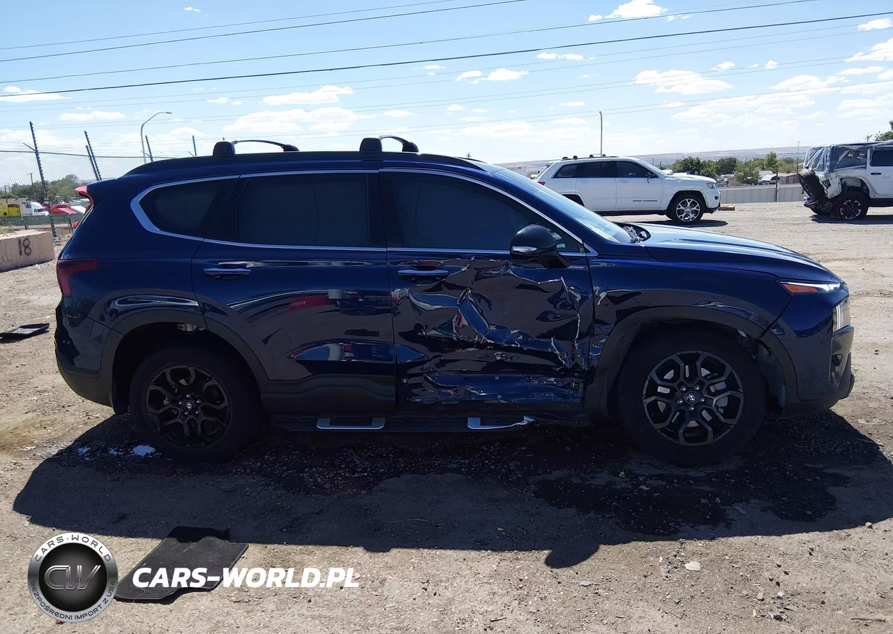 2023 Hyundai Santa Fe Xrt VIN:5NMS6DAJ9PH574631 - 13