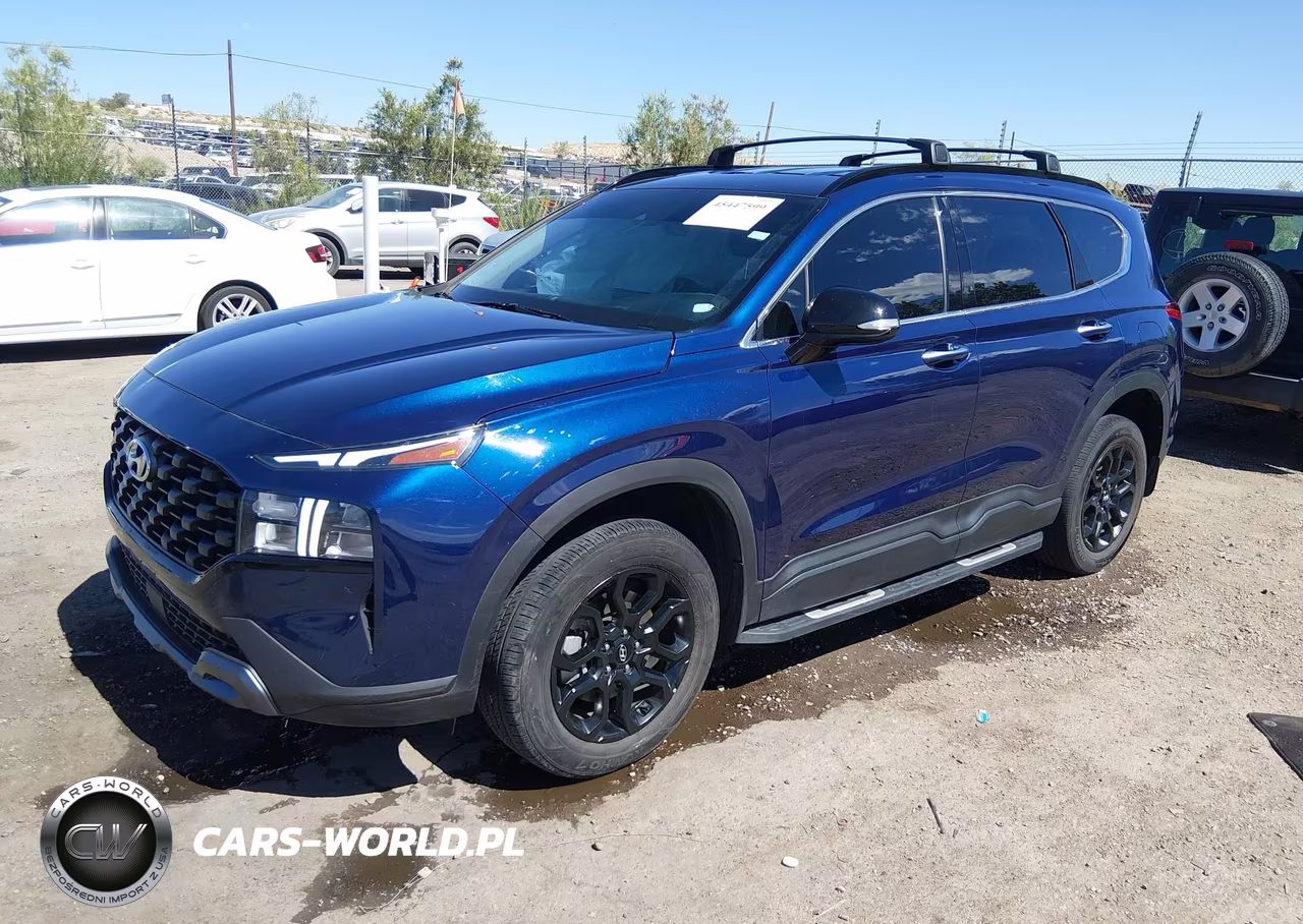 2023 Hyundai Santa Fe Xrt VIN:5NMS6DAJ9PH574631 - 2