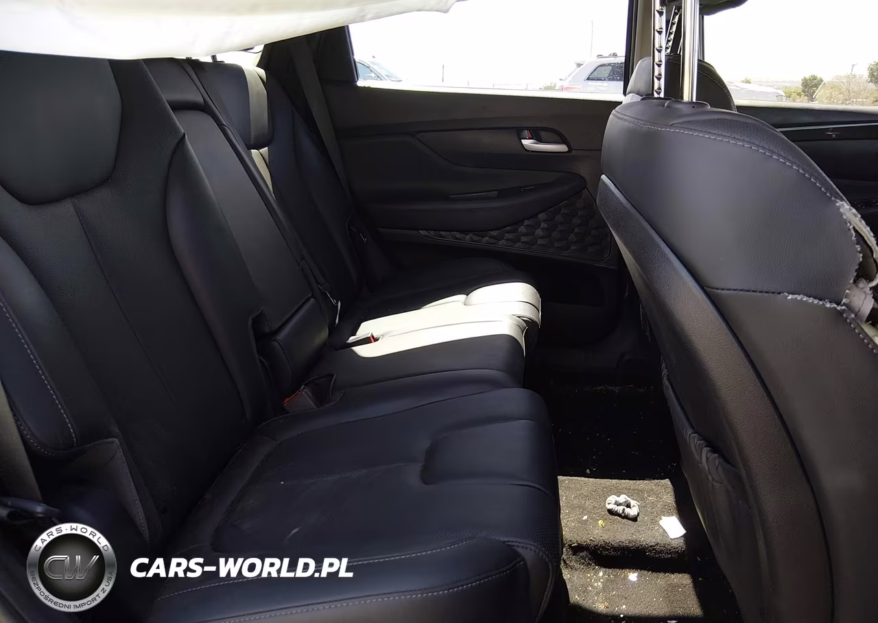 2023 Hyundai Santa Fe Xrt VIN:5NMS6DAJ9PH574631 - 8
