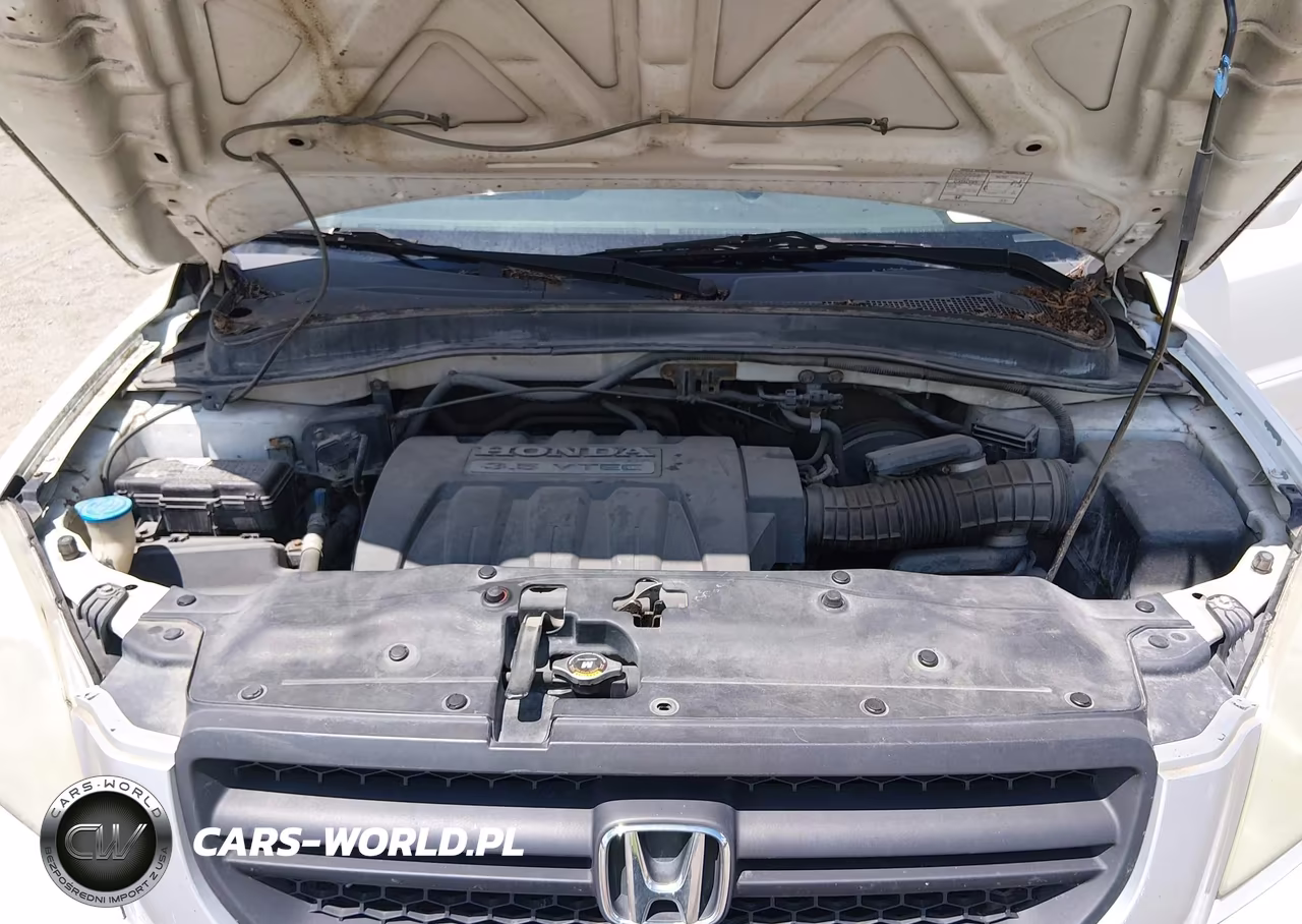 2005 Honda Pilot Ex VIN:5FNYF18495B062049 - 10