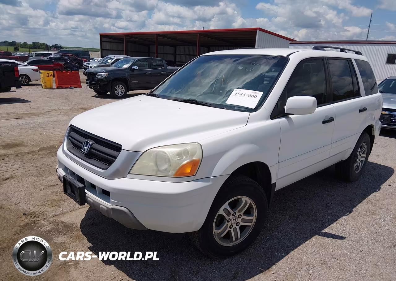 2005 Honda Pilot Ex VIN:5FNYF18495B062049 - 2
