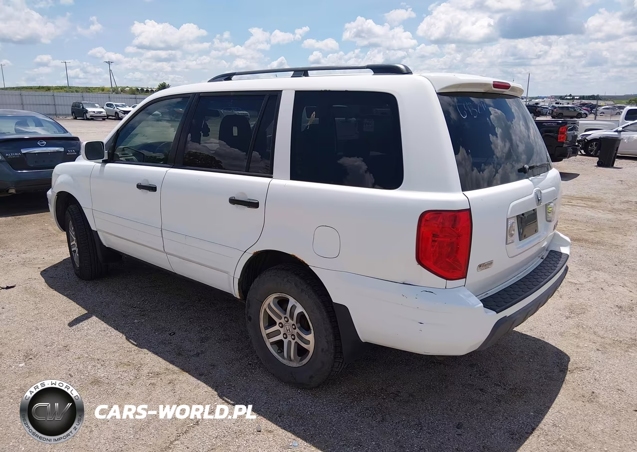 2005 Honda Pilot Ex VIN:5FNYF18495B062049 - 3