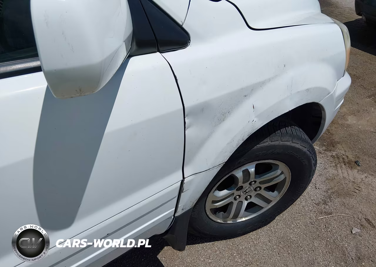 2005 Honda Pilot Ex VIN:5FNYF18495B062049 - 6