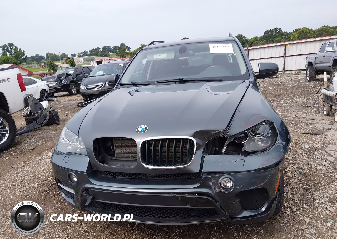 2012 BMW X5 xDrive35I-xDrive35I Premium-xDrive35I Sport Activity VIN:5UXZV4C50CL991094 - 12