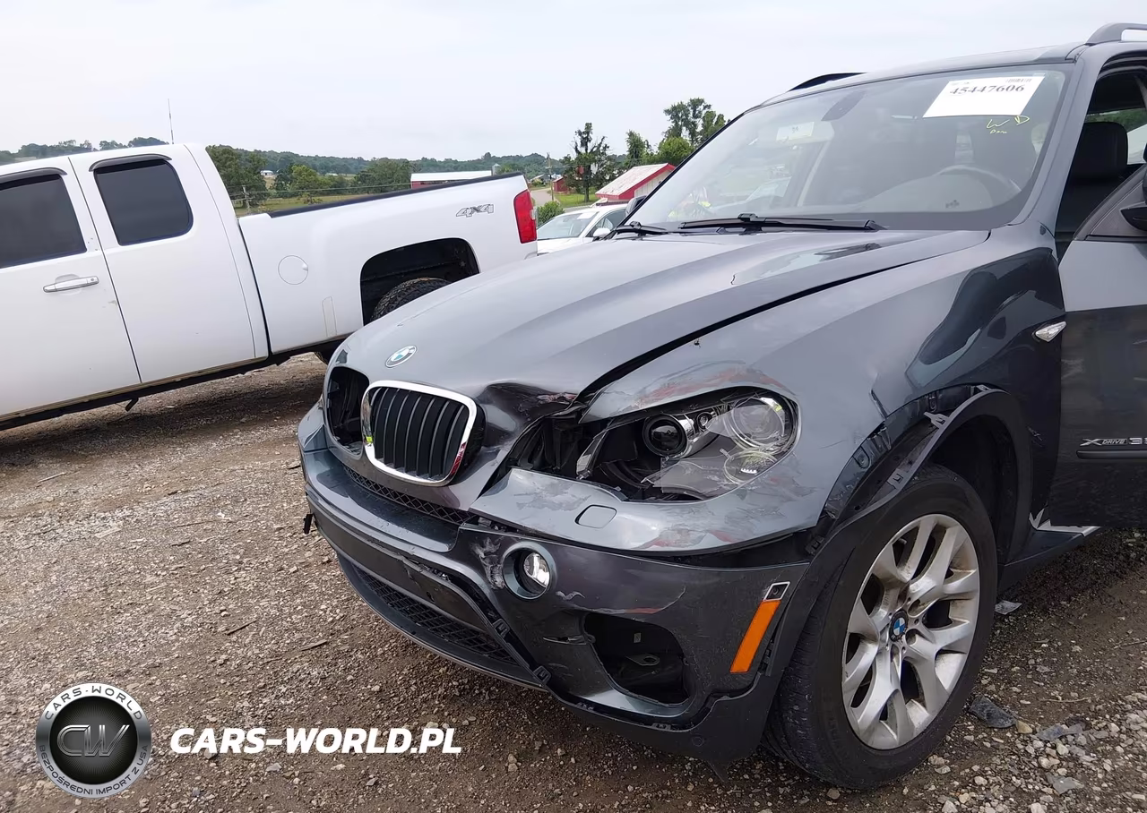 2012 BMW X5 xDrive35I-xDrive35I Premium-xDrive35I Sport Activity VIN:5UXZV4C50CL991094 - 6