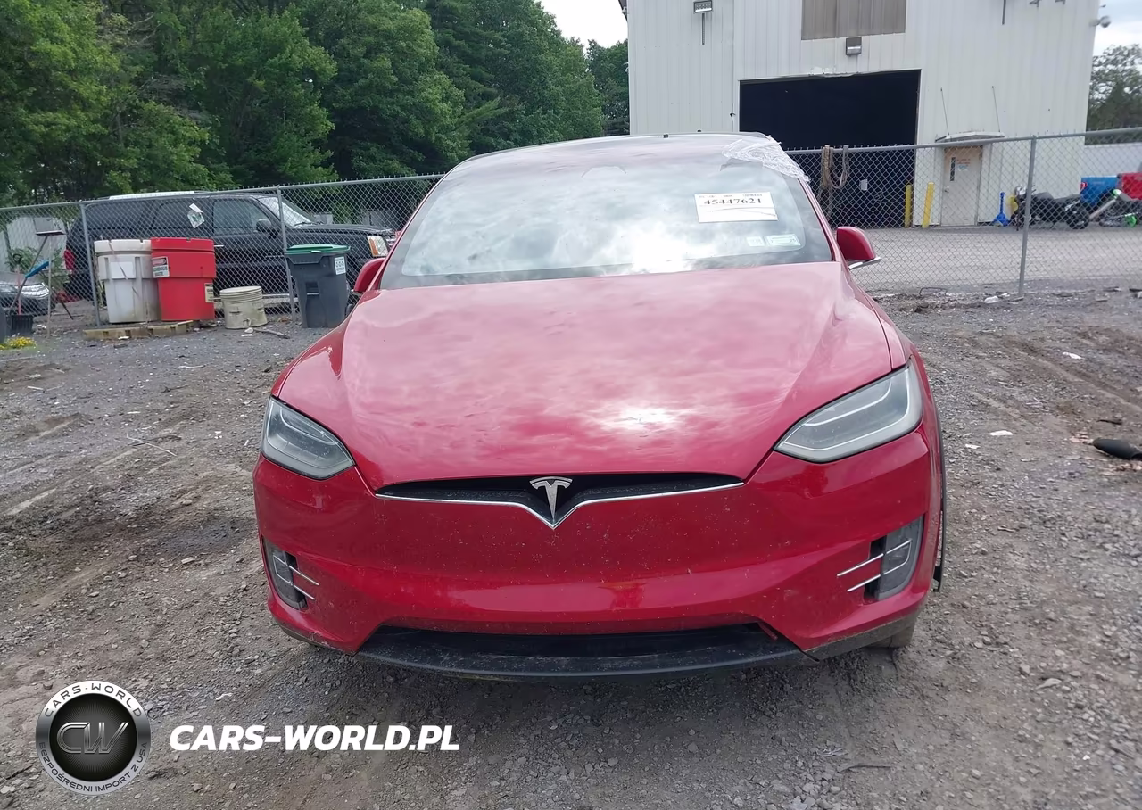 2018 Tesla Model X 100D-75D-P100D VIN:5YJXCAE27JF091566 - 10