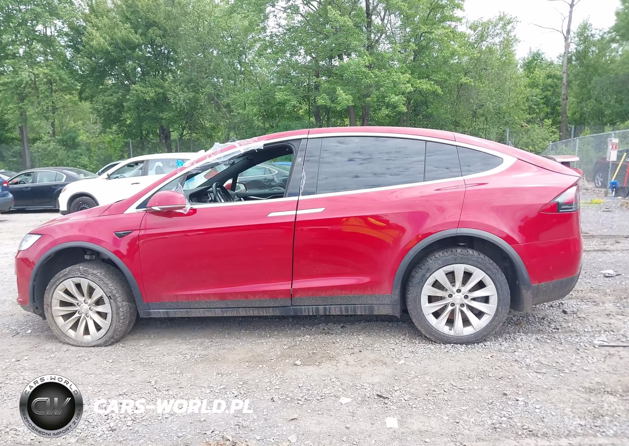 2018 Tesla Model X 100D-75D-P100D VIN:5YJXCAE27JF091566 - 12