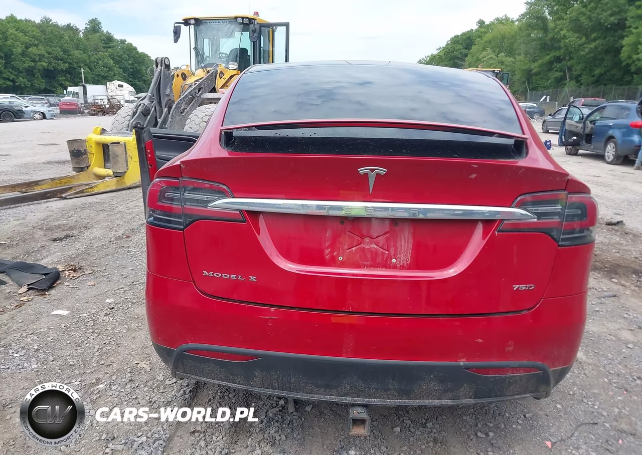 2018 Tesla Model X 100D-75D-P100D VIN:5YJXCAE27JF091566 - 6
