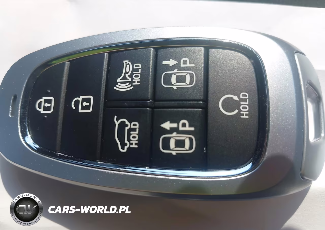 2023 Hyundai Santa Fe Limited VIN:5NMS4DAL5PH606238 - 11