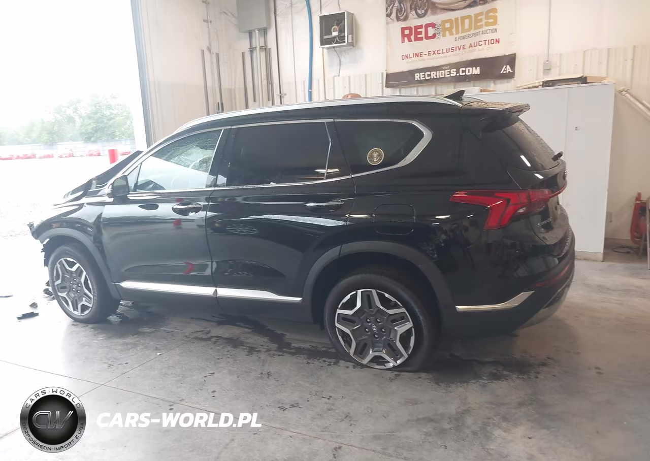 2023 Hyundai Santa Fe Limited VIN:5NMS4DAL5PH606238 - 14