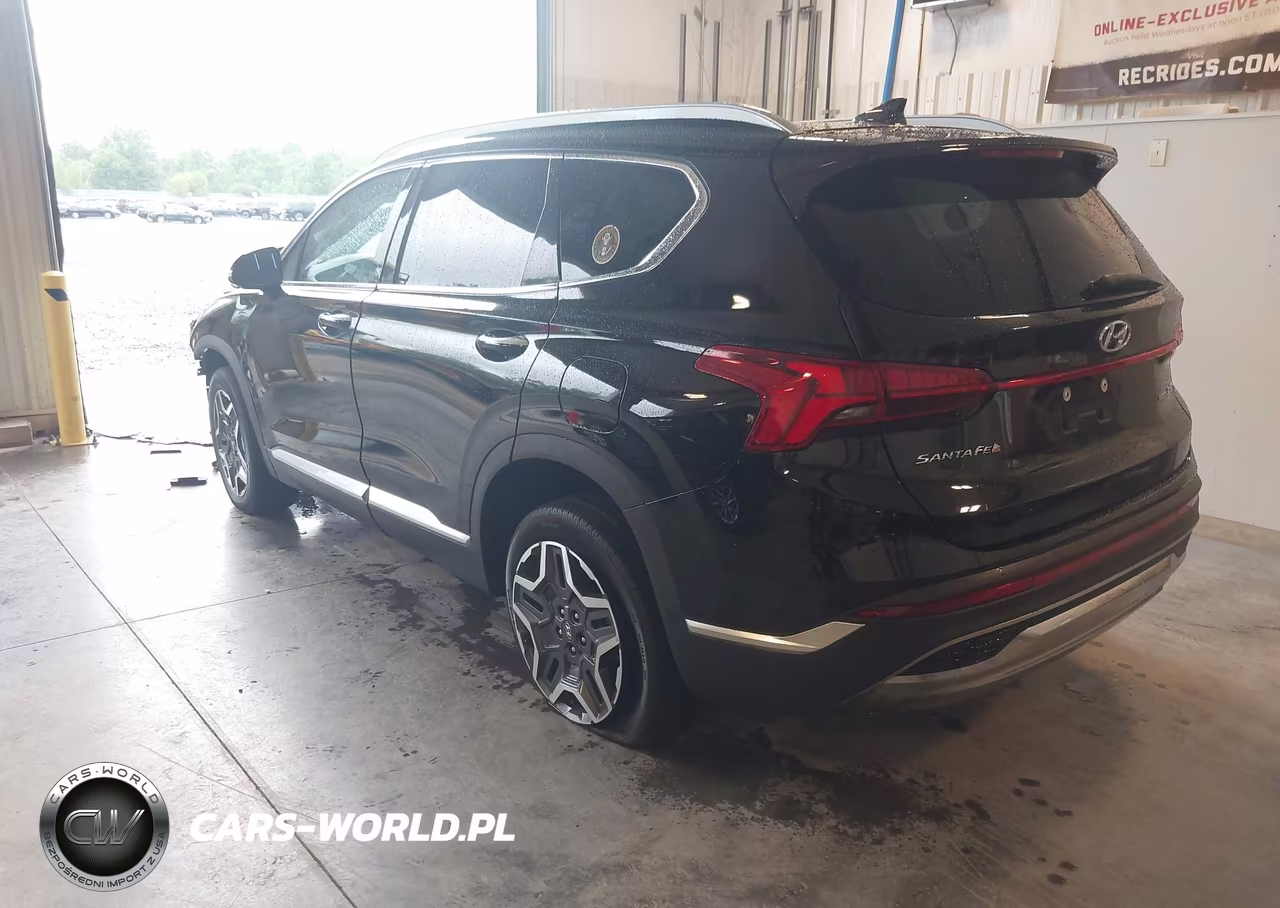 2023 Hyundai Santa Fe Limited VIN:5NMS4DAL5PH606238 - 3