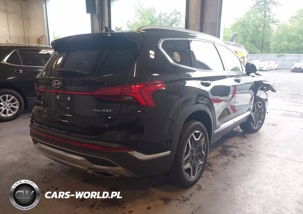 2023 Hyundai Santa Fe Limited VIN:5NMS4DAL5PH606238 - 4