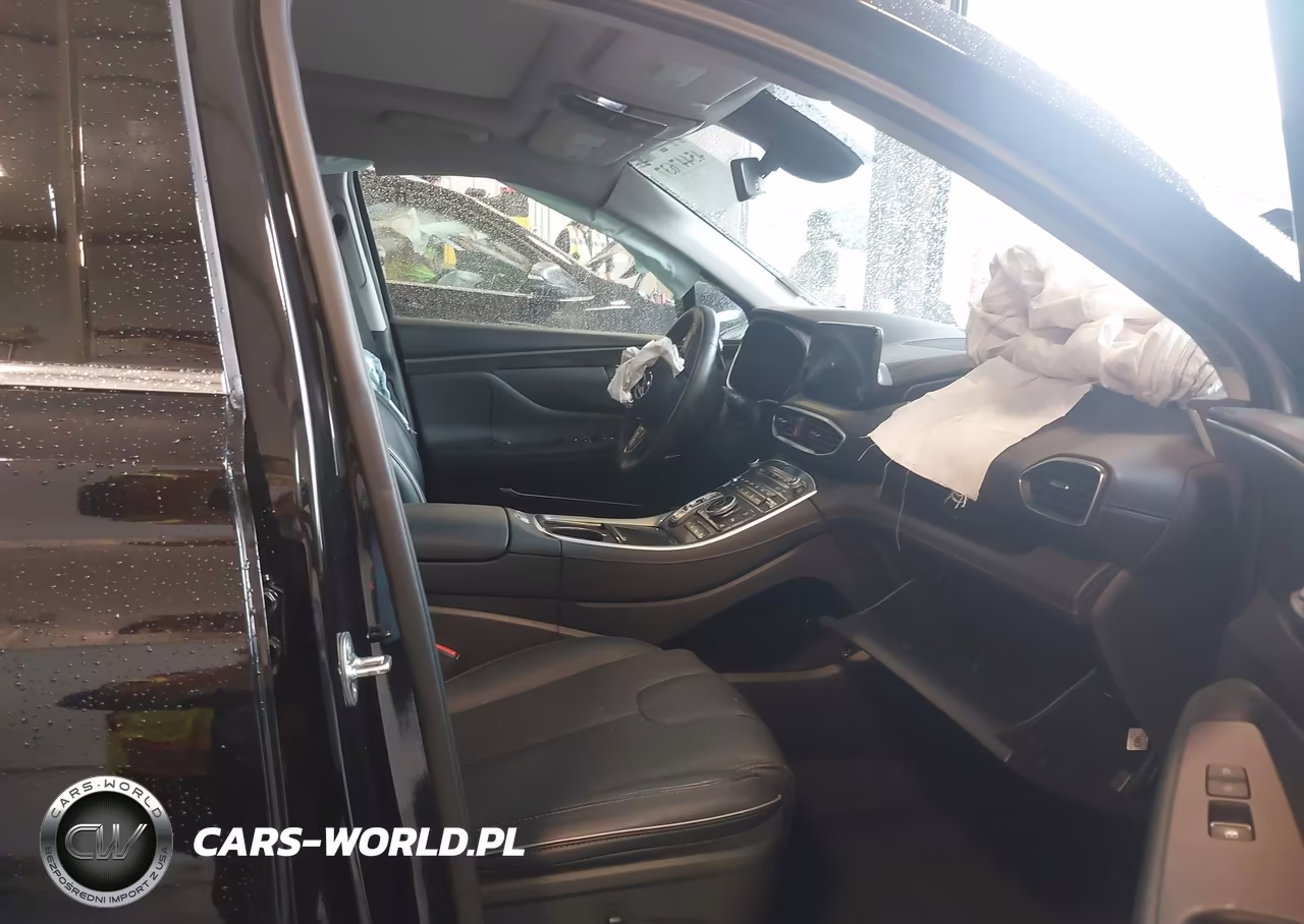 2023 Hyundai Santa Fe Limited VIN:5NMS4DAL5PH606238 - 5
