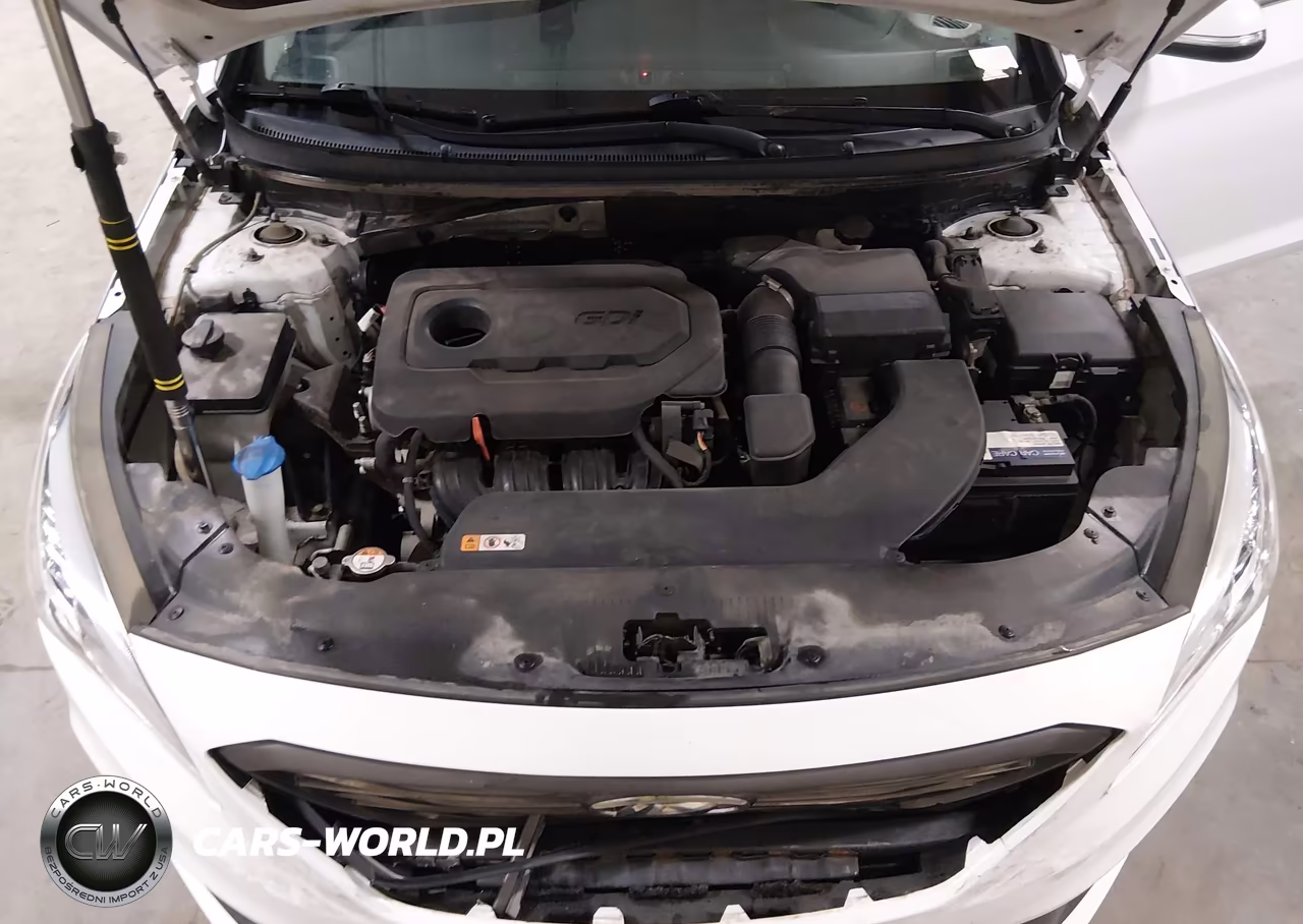 2015 Hyundai Sonata Sport VIN:5NPE34AF5FH043705 - 10