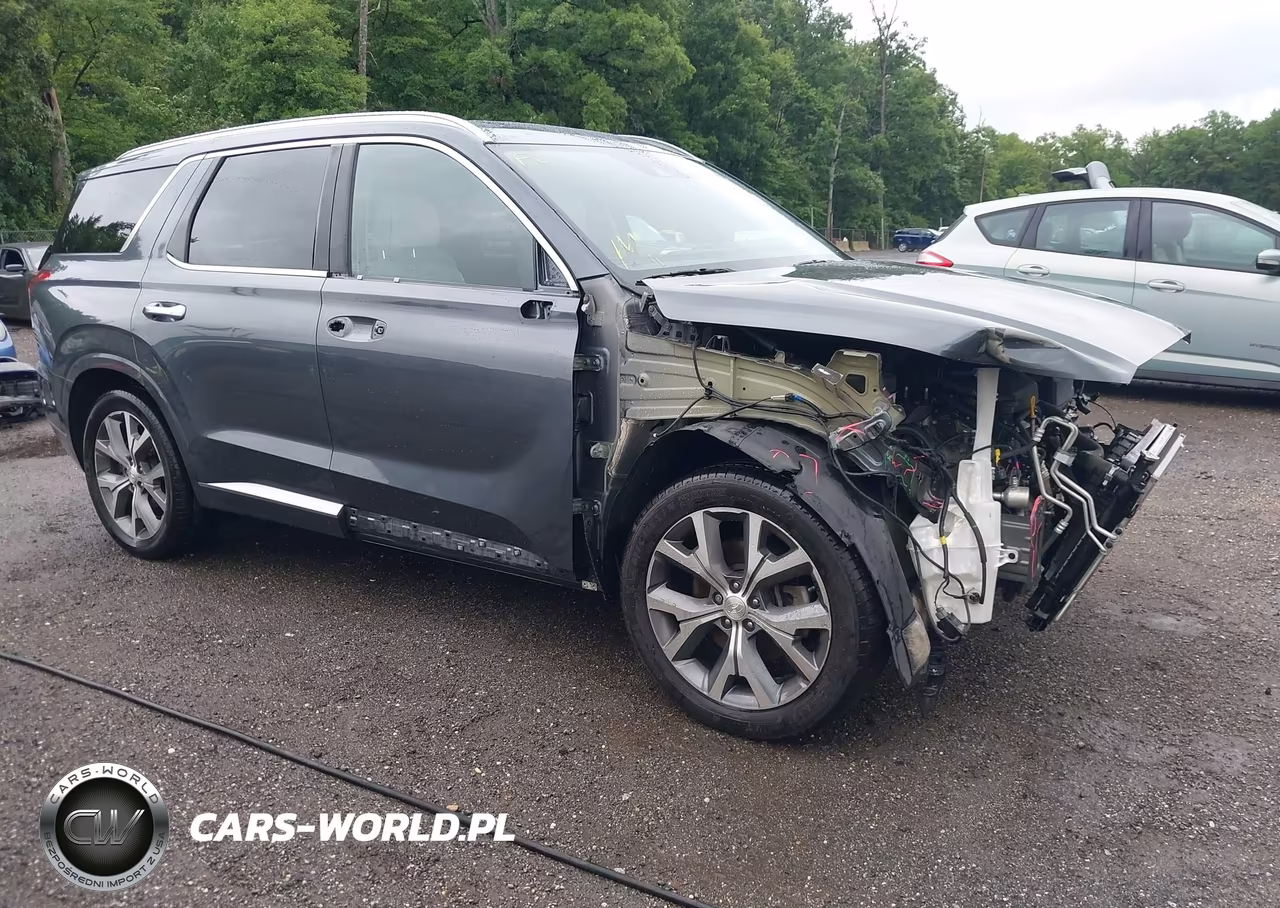 2021 Hyundai Palisade Limited – zdjęcie 1 z 17