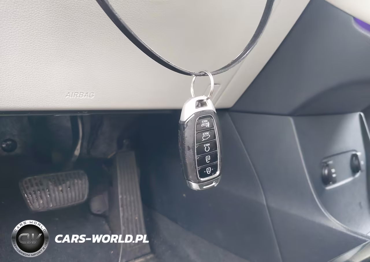 2021 Hyundai Palisade Limited VIN:KM8R5DHE7MU184783 - 11