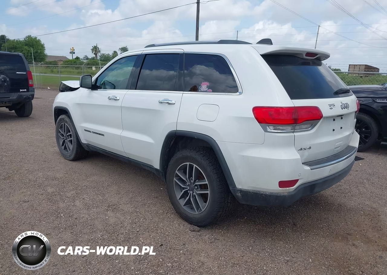2019 Jeep Grand Cherokee Limited 4X4 VIN:1C4RJFBG1KC818517 - 3