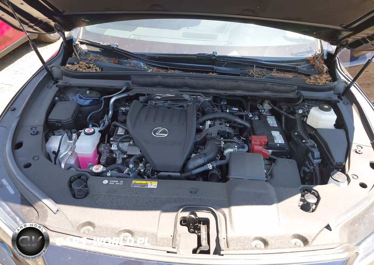 2024 Lexus Rx 350 Premium VIN:2T2BAMCA3RC085786 - 10