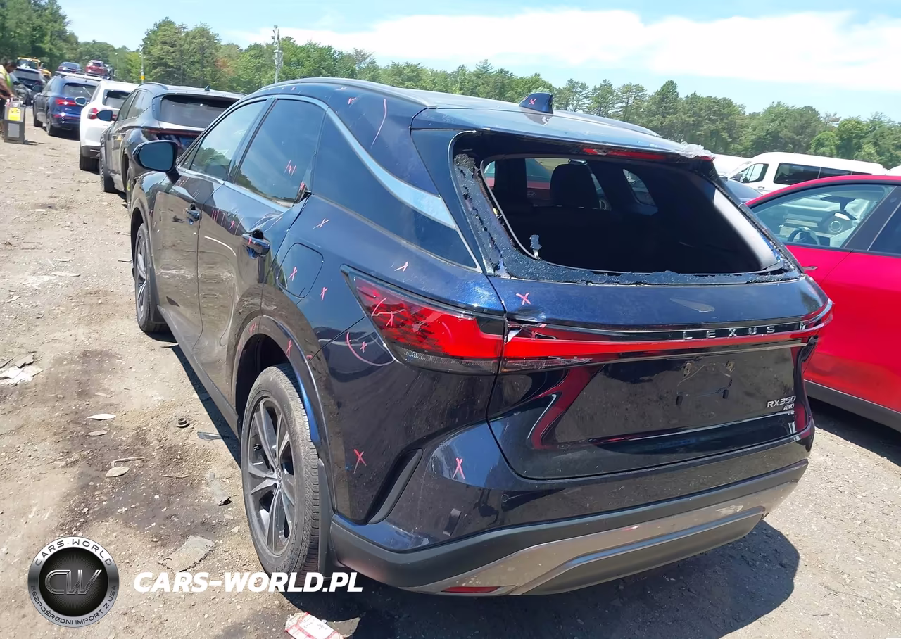 2024 Lexus Rx 350 Premium VIN:2T2BAMCA3RC085786 - 6