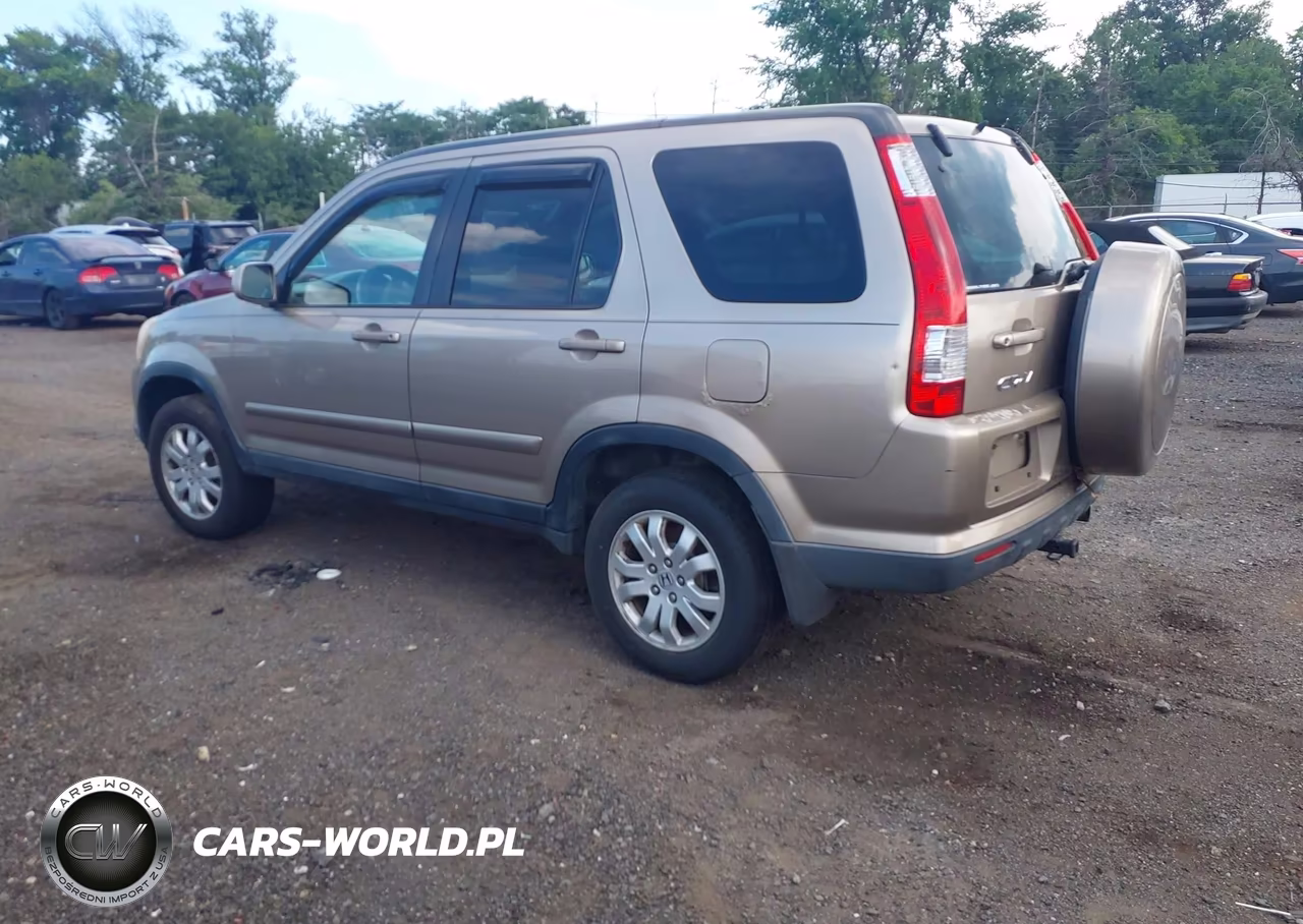 2006 Honda Cr-V Se VIN:SHSRD78966U446633 - 3