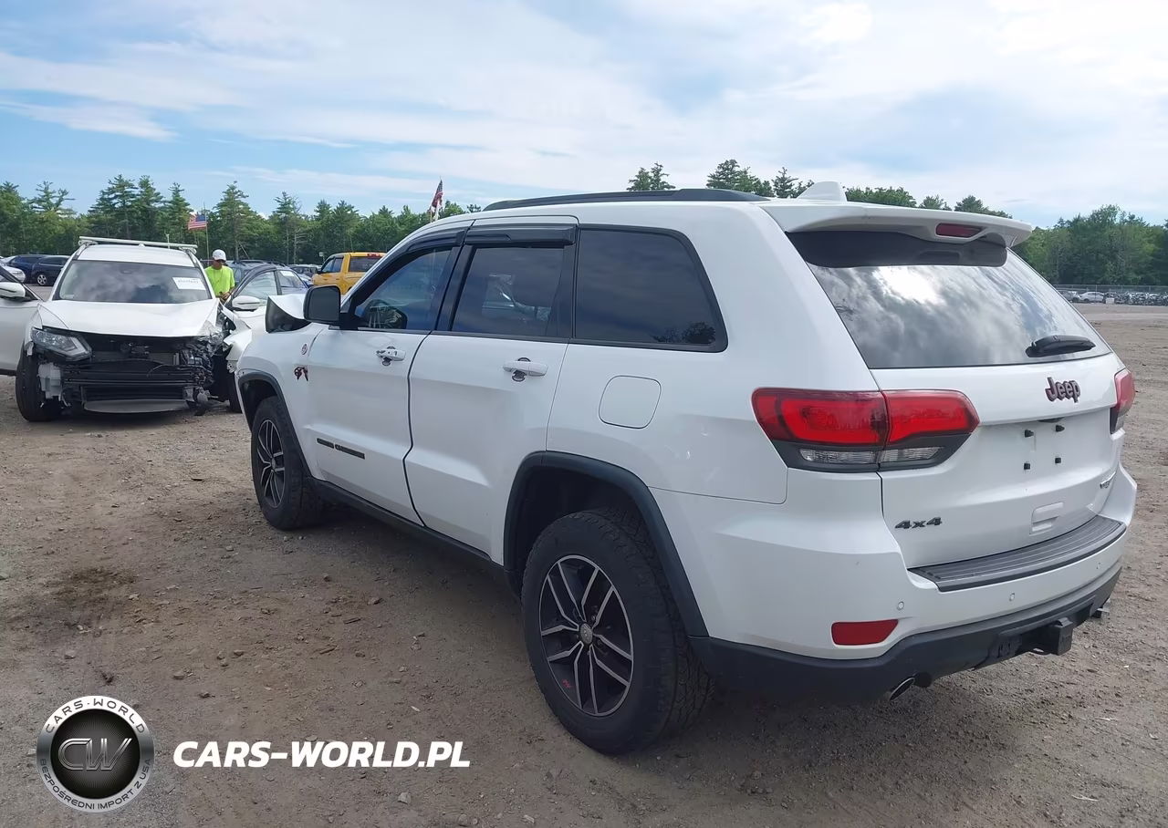 2018 Jeep Grand Cherokee Trailhawk 4X4 VIN:1C4RJFLG1JC507523 - 3