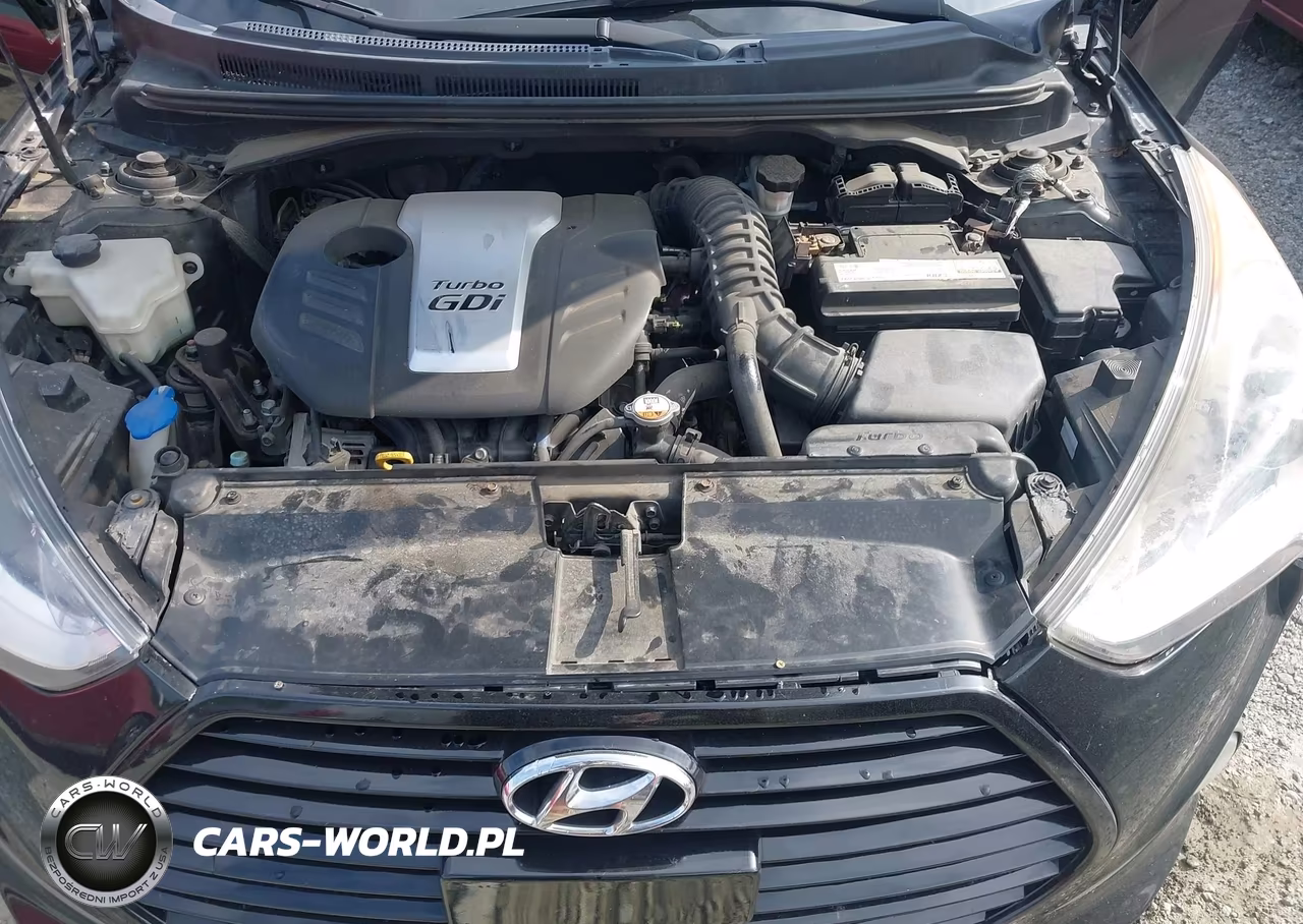 2013 Hyundai Veloster Turbo W-Blue VIN:KMHTC6AE2DU118434 - 10