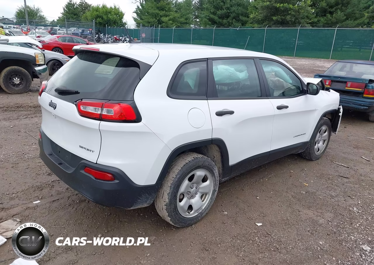2014 Jeep Cherokee Sport VIN:1C4PJLAB9EW231027 - 4