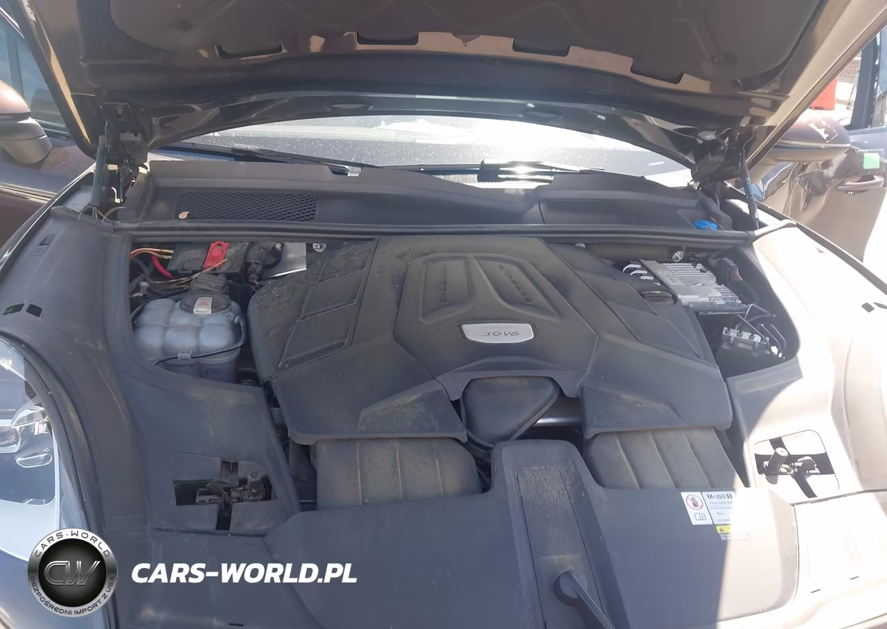 2023 Porsche Cayenne Platinum Edition VIN:WP1AA2AY4PDA03647 - 10