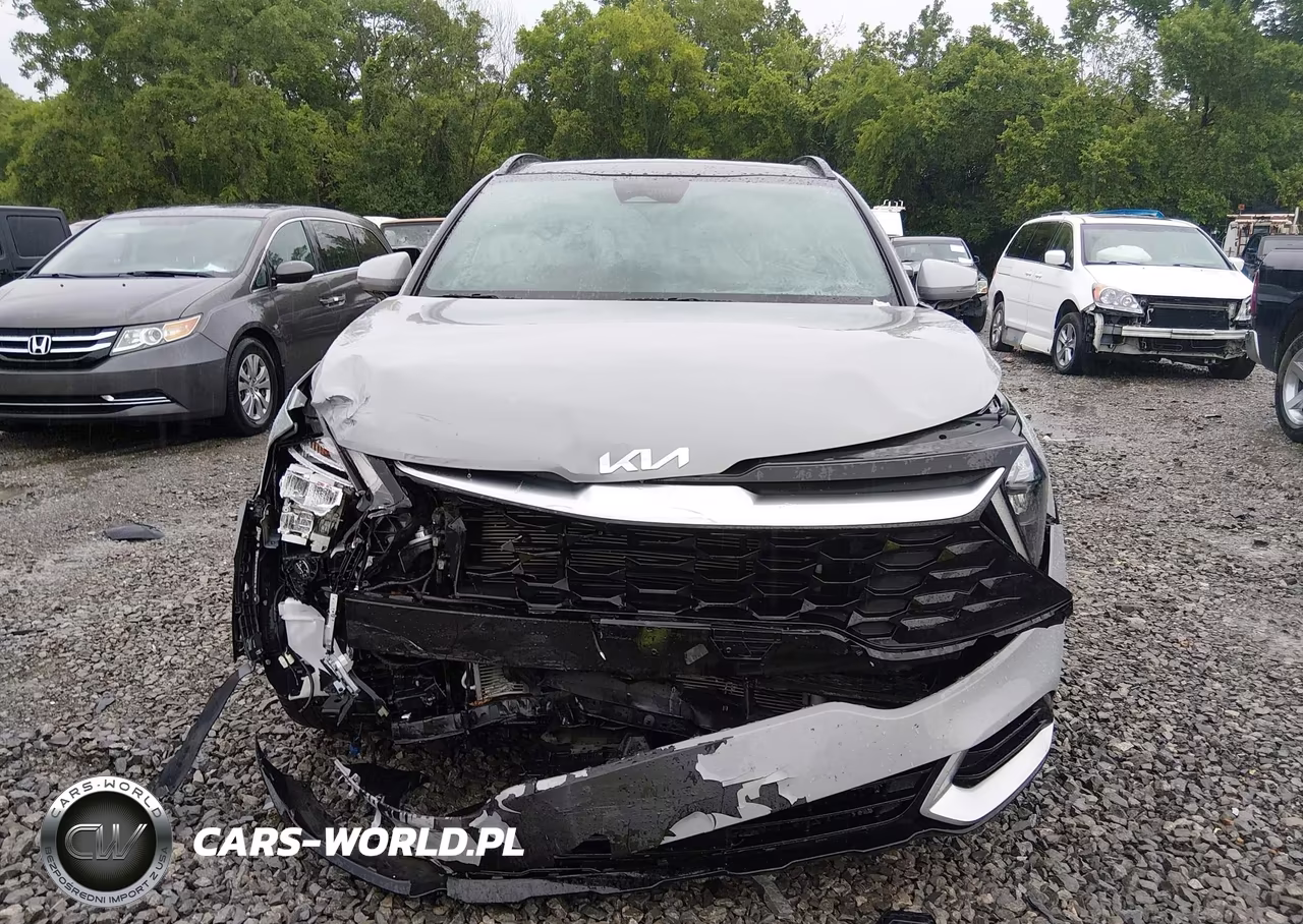 2023 Kia Sportage Sx VIN:5XYK43AF5PG129146 - 12