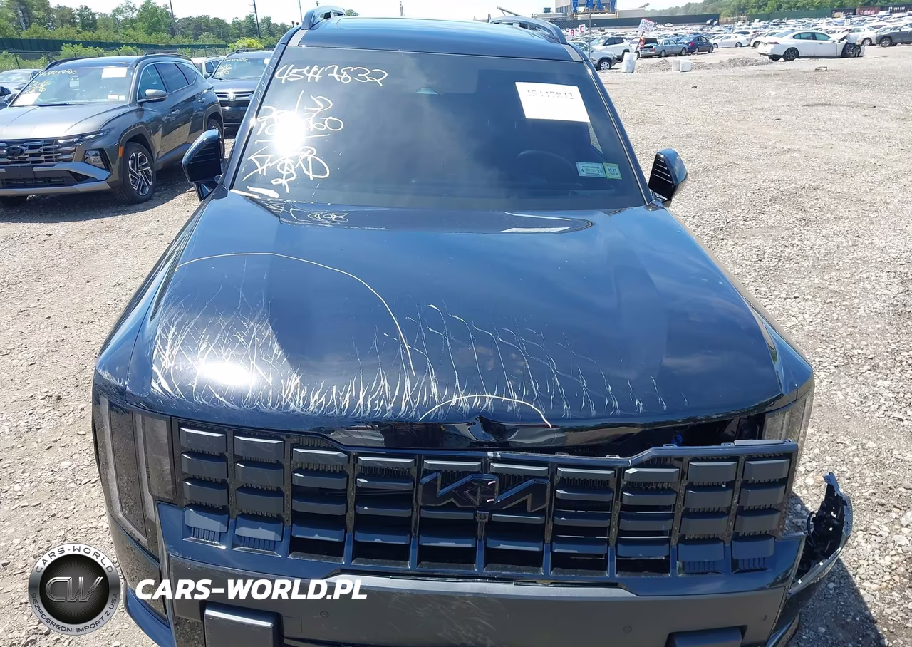 2027 Kia Telluride X-Line Sx-Prestige VIN:5XYPLES15VG010971 - 12