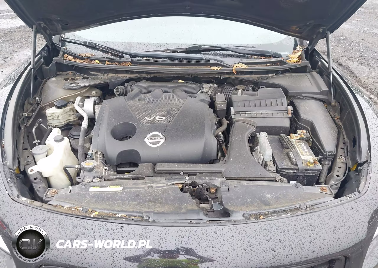 2014 Nissan Maxima 3.5 Sv VIN:1N4AA5APXEC496169 - 10