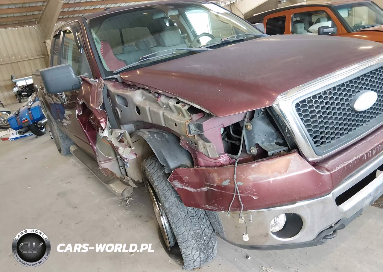 2006 Ford F-150 Fx4-Lariat-Xl-Xlt VIN:1FTPX14V16NB31102 - 6