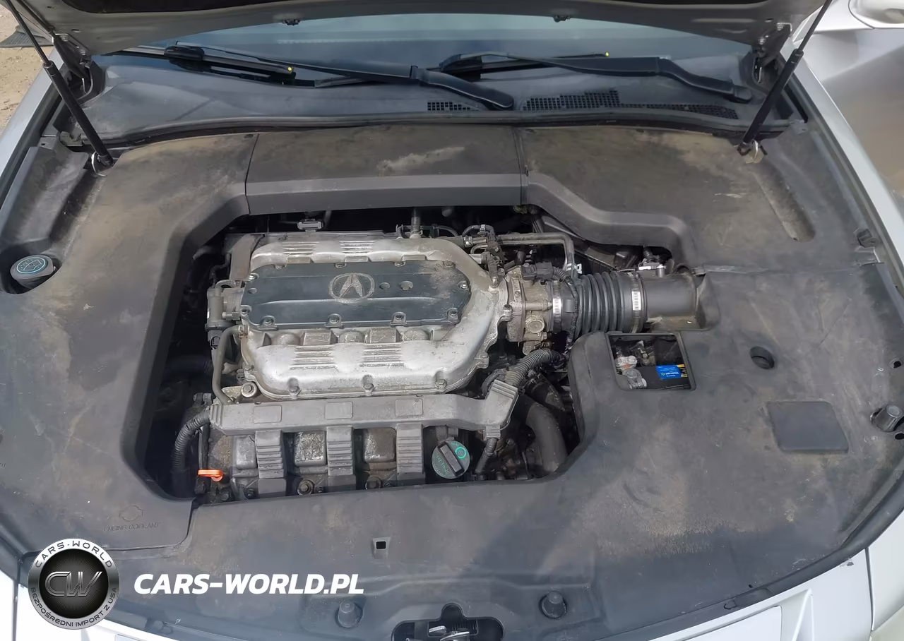 2011 Acura Tl 3.5 VIN:19UUA8F52BA004419 - 10