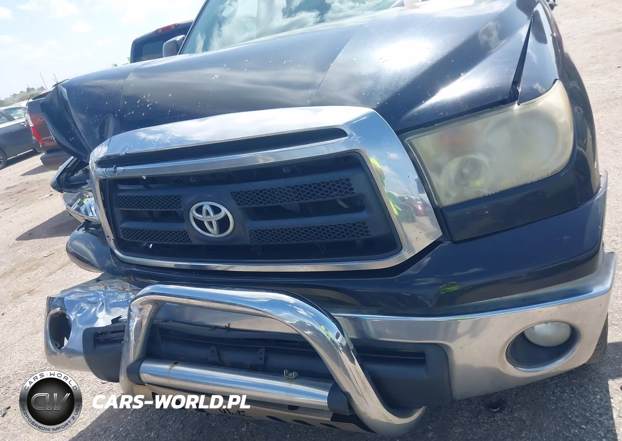 2010 Toyota Tundra Grade 4.6L V8 VIN:5TFEM5F12AX016135 - 12