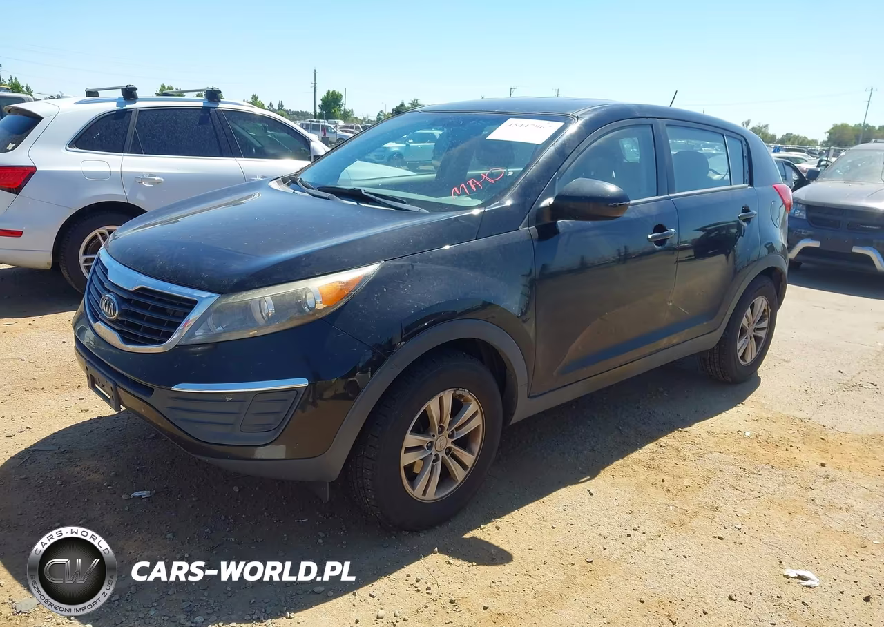 2011 Kia Sportage VIN:KNDPB3A28B7013924 - 2