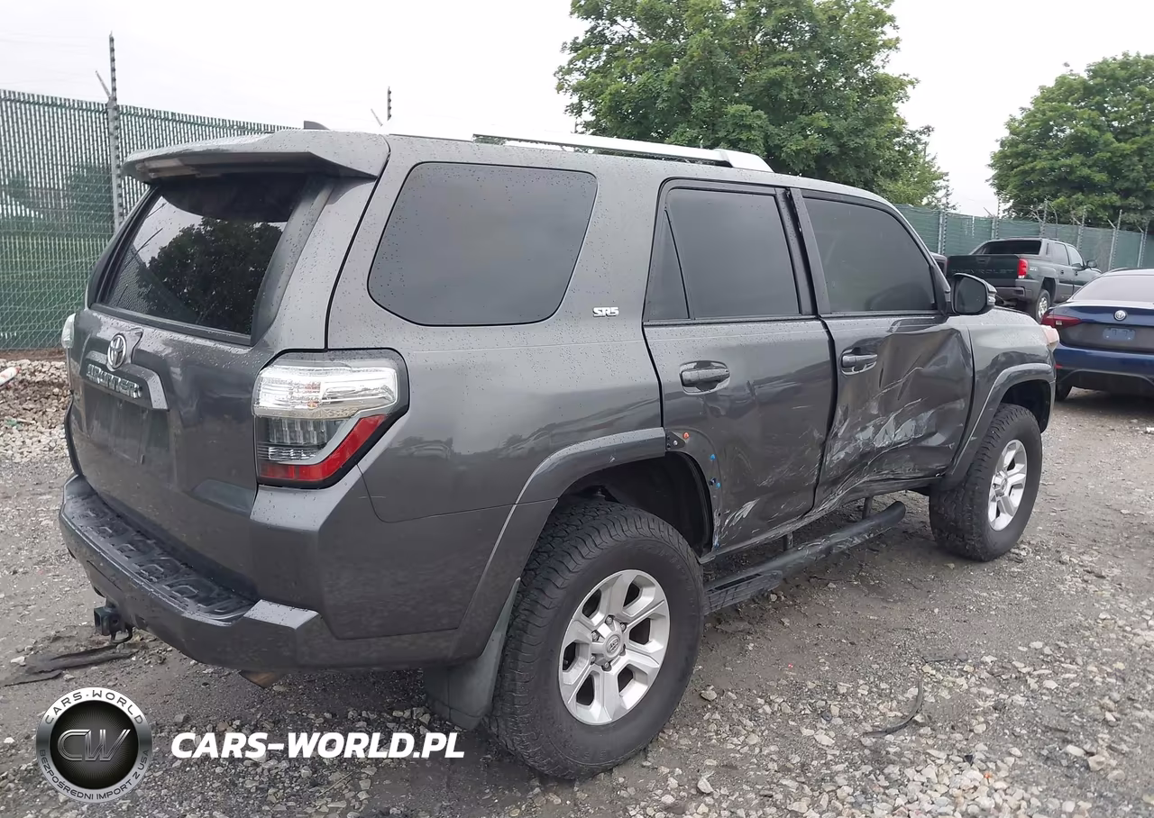 2018 Toyota 4Runner Sr5 Premium VIN:JTEZU5JR5J5169033 - 4