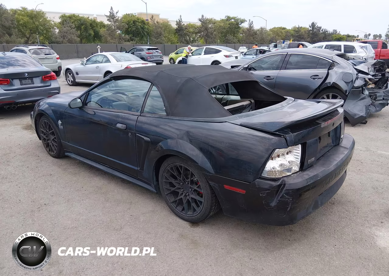 1999 Ford Mustang VIN:1FAFP4449XF137039 - 3