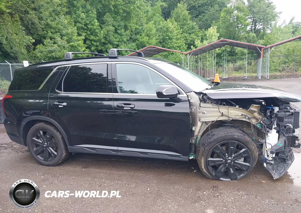 2023 Hyundai Palisade Xrt VIN:KM8R3DGE2PU533537 - 13