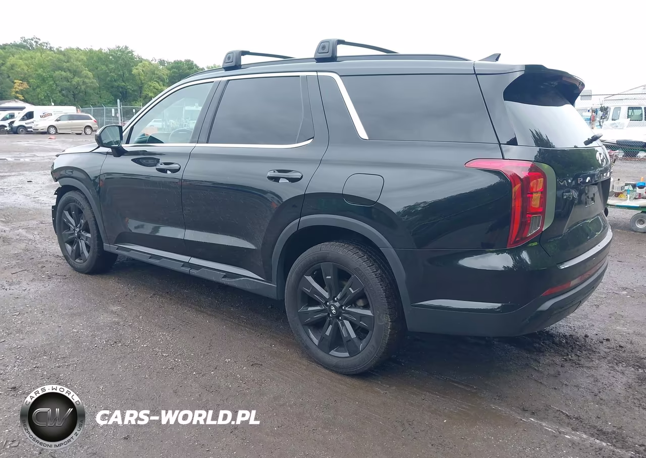2023 Hyundai Palisade Xrt VIN:KM8R3DGE2PU533537 - 3