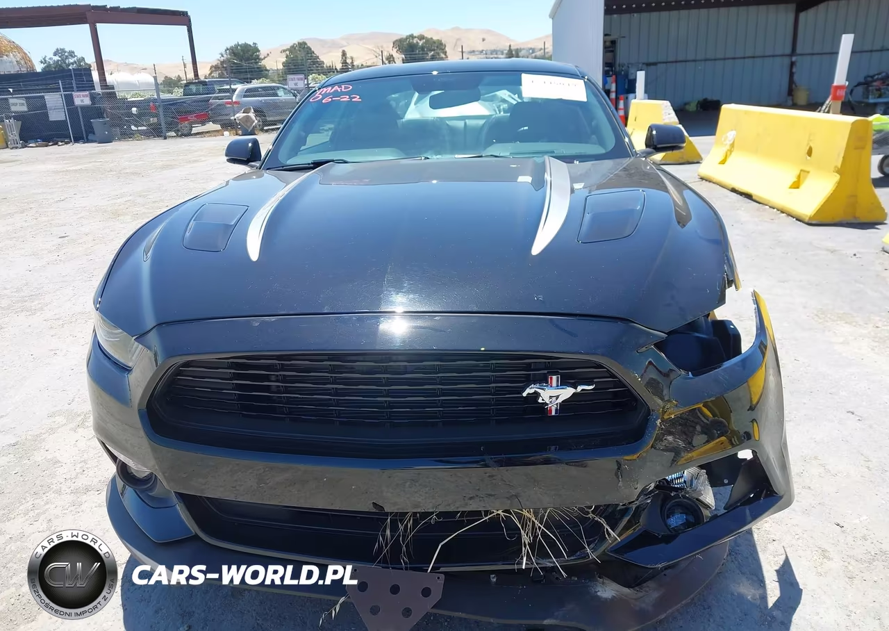2017 Ford Mustang Gt-Gt Premium VIN:1FA6P8CF1H5229408 - 13