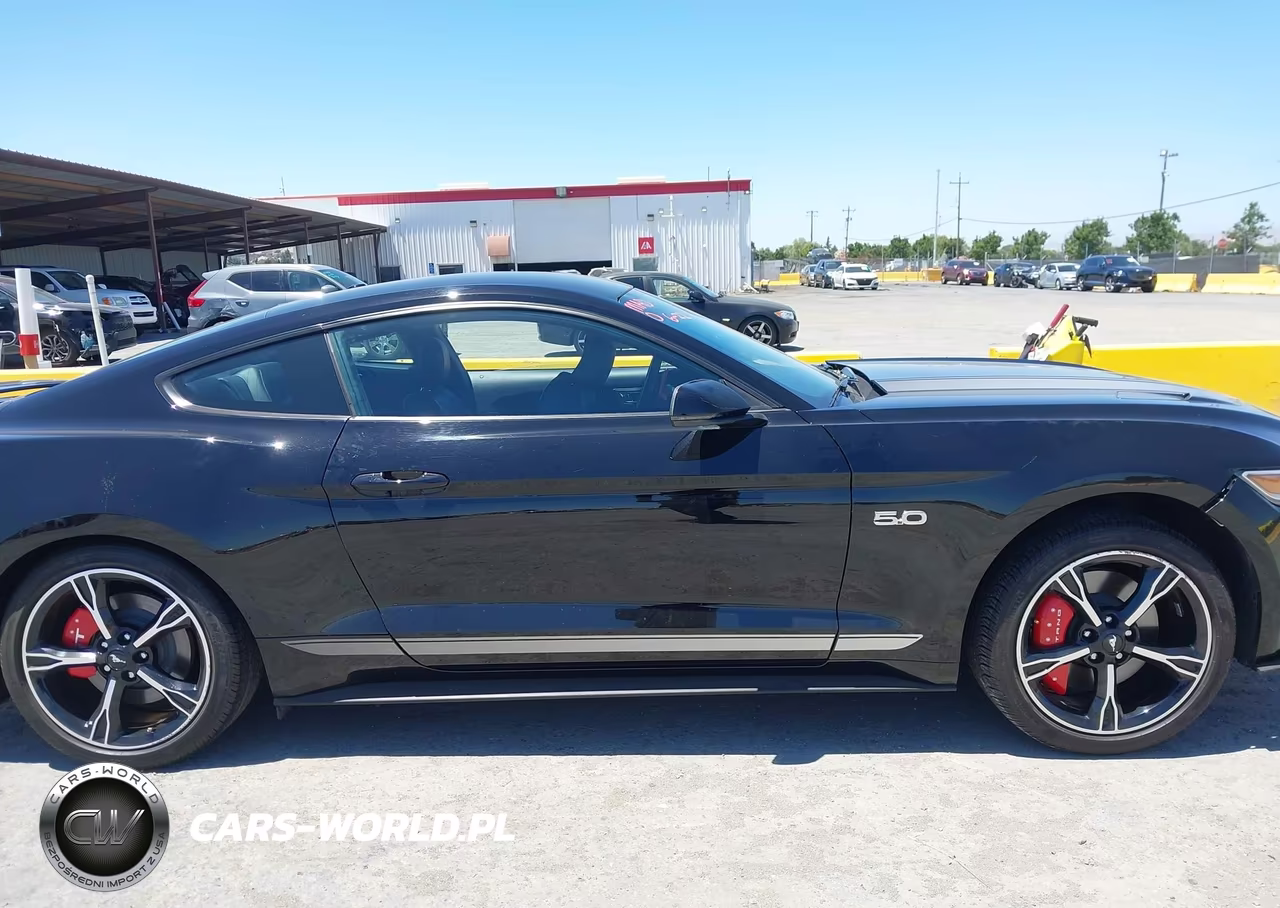 2017 Ford Mustang Gt-Gt Premium VIN:1FA6P8CF1H5229408 - 14