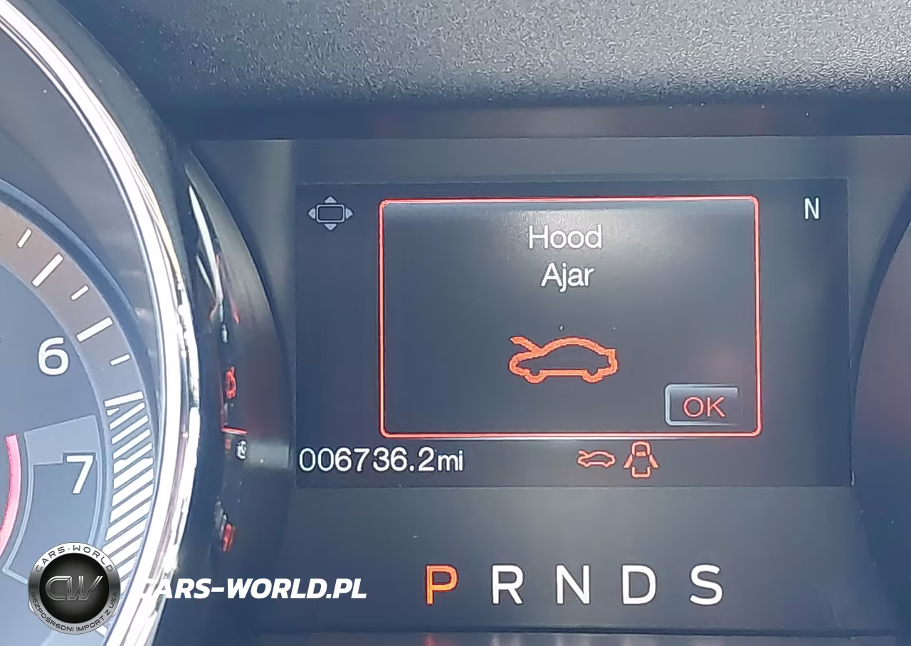2017 Ford Mustang Gt-Gt Premium VIN:1FA6P8CF1H5229408 - 16